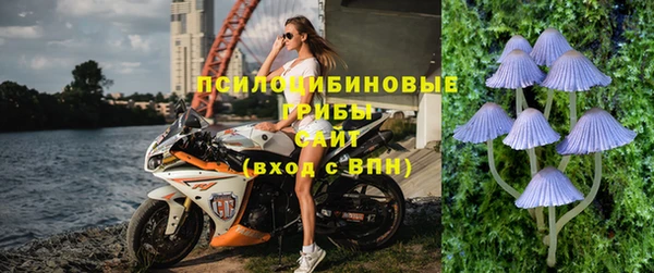 не бодяженный Алзамай