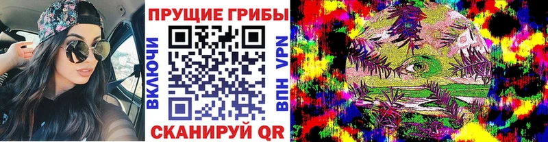 купить наркоту  Болотное  Галлюциногенные грибы Cubensis 